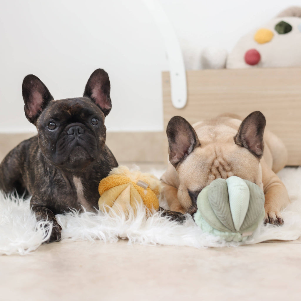 Toto Schnüffelspielzeug Gelb