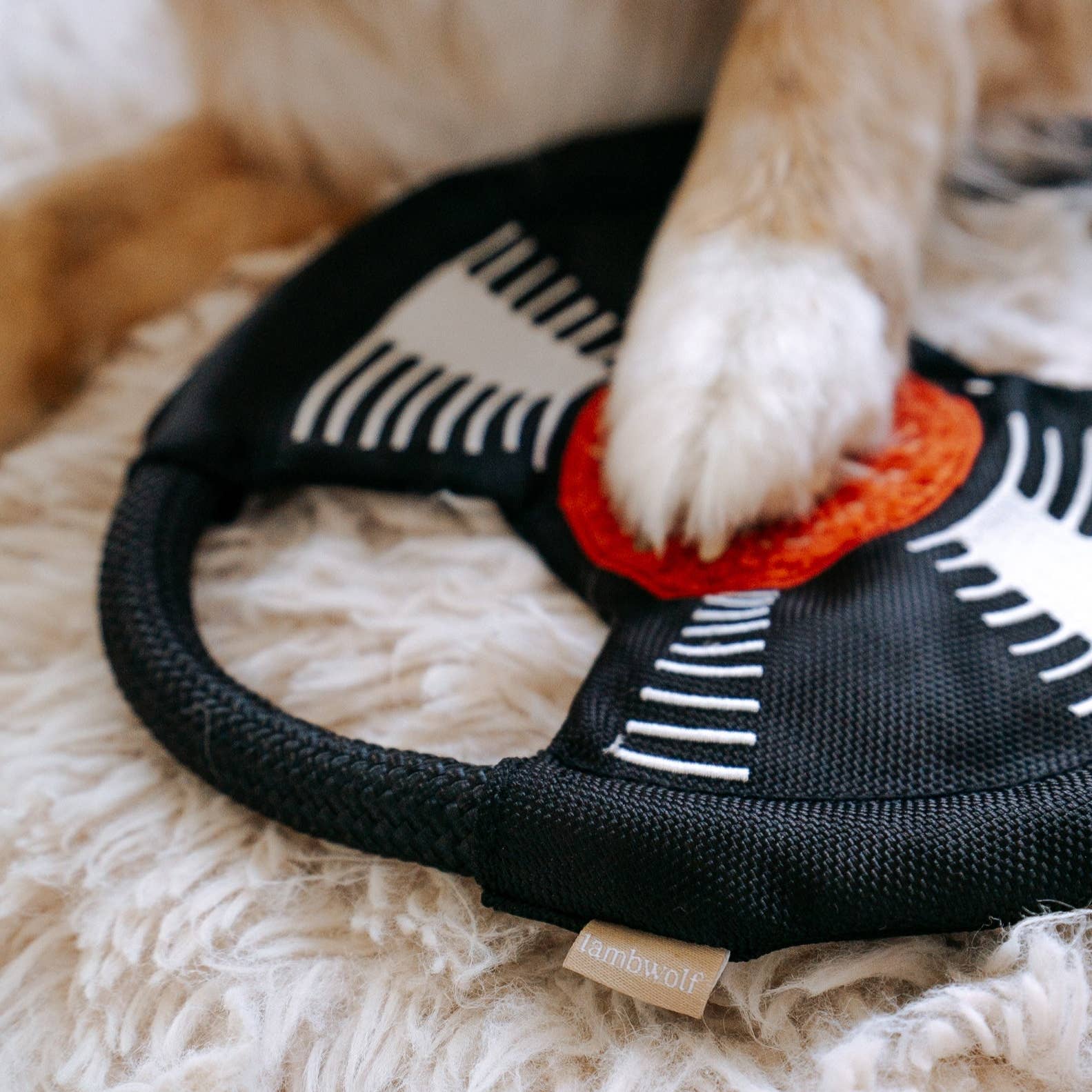 Bark to Beat Beschäftigungsspielzeug