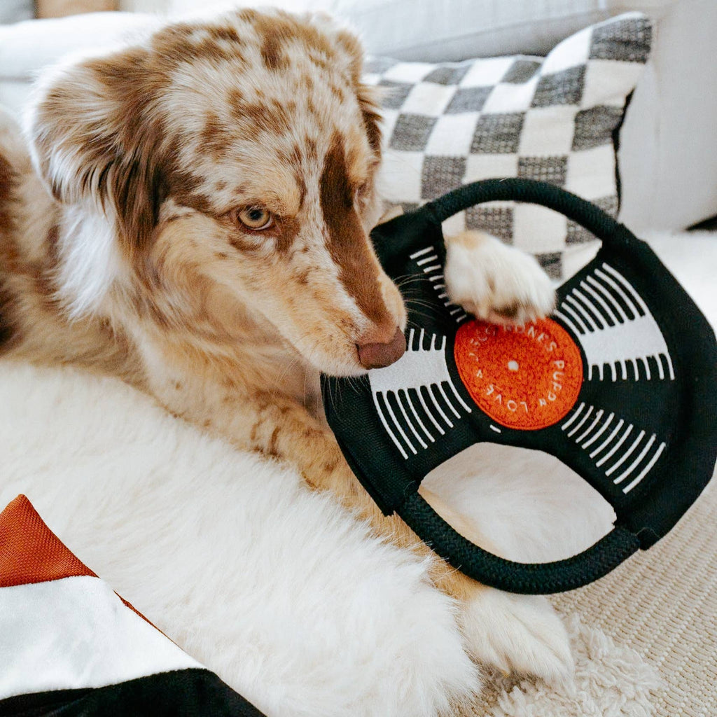 Bark to Beat Beschäftigungsspielzeug