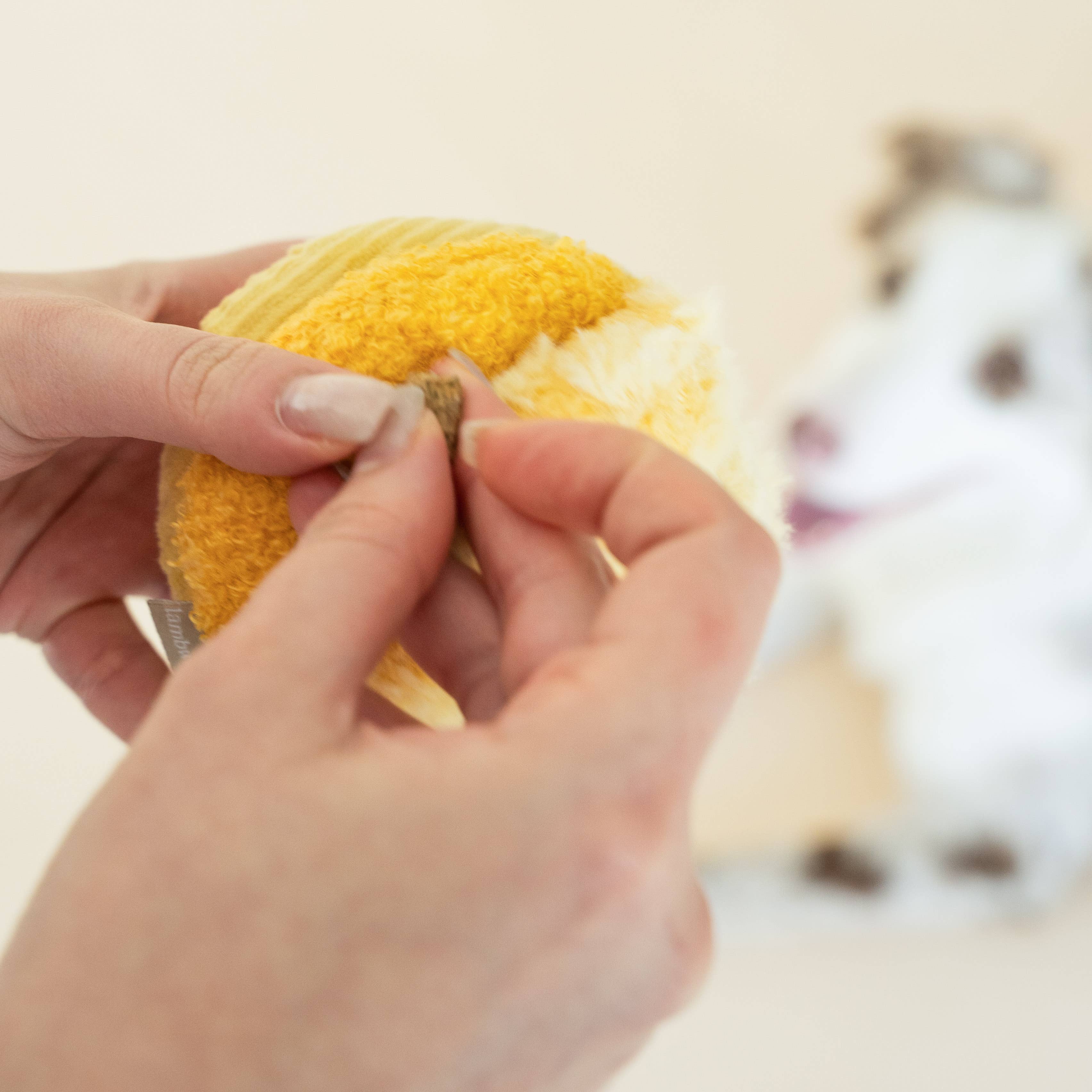 Toto Schnüffelspielzeug Gelb