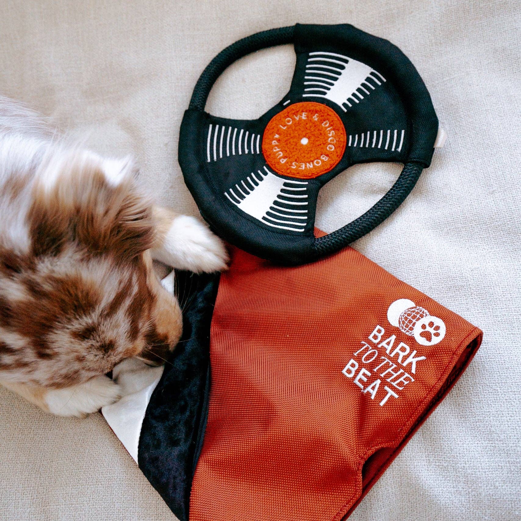 Bark to Beat Beschäftigungsspielzeug