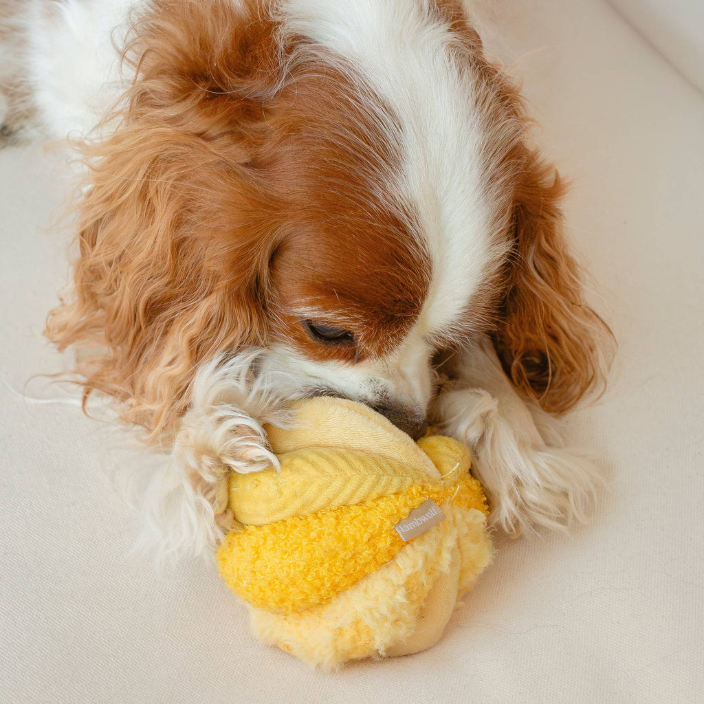 Toto Schnüffelspielzeug Gelb
