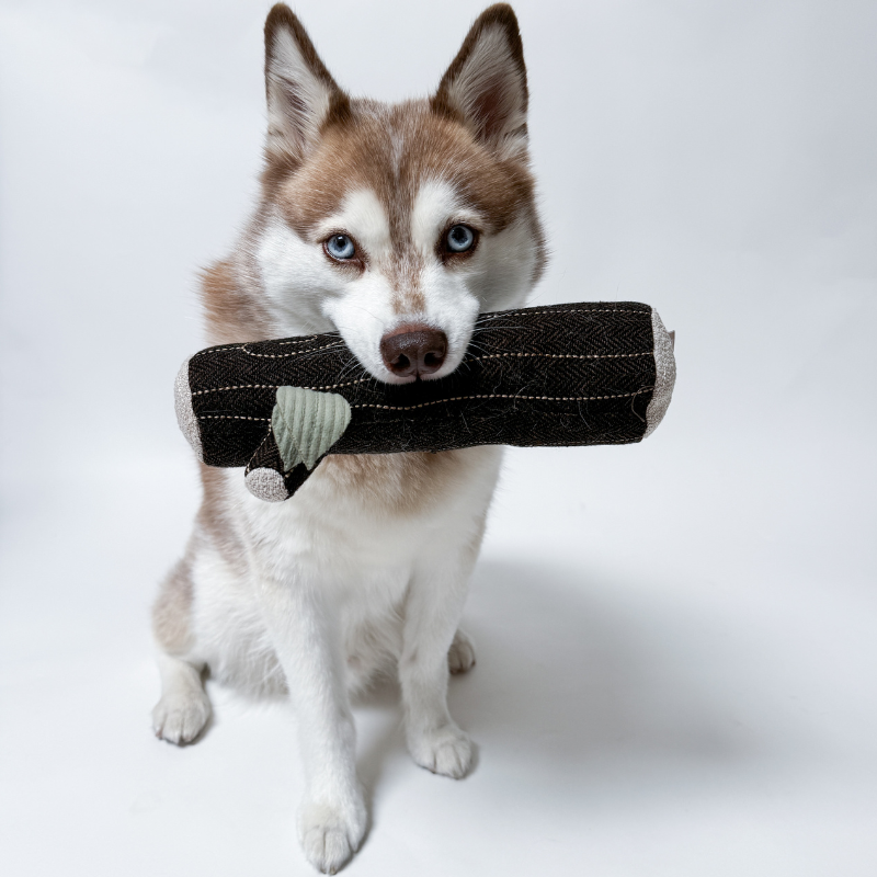 Feuerstock Apportier- & Quietschspielzeug