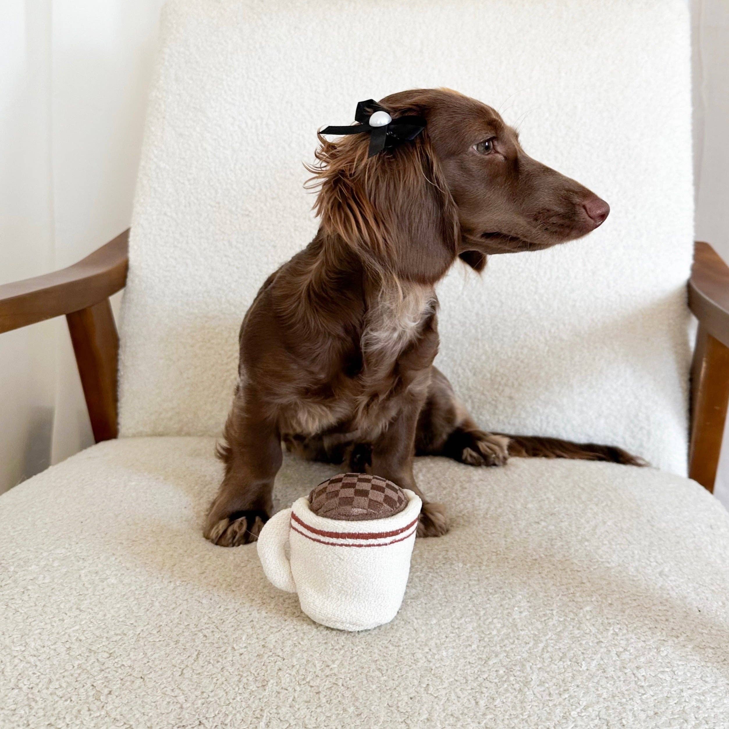 Expresso pop Schnüffelspielzeug