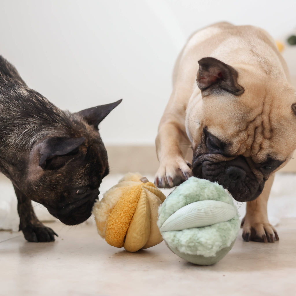 Toto Schnüffelspielzeug Gelb