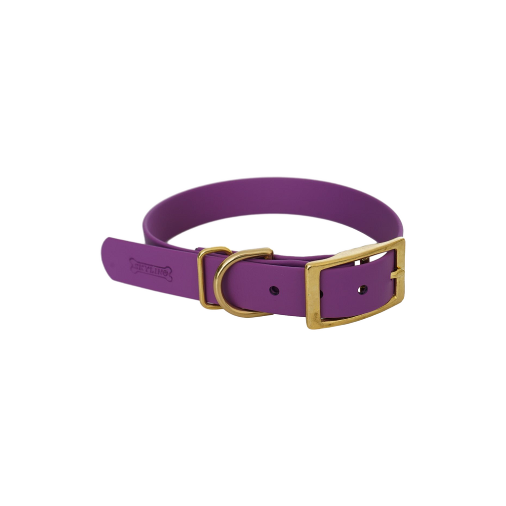 BioThane® Halsband Grape