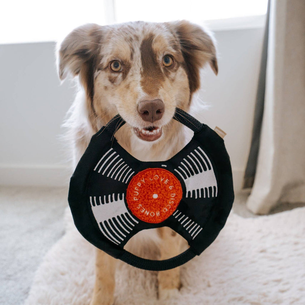 Bark to Beat Beschäftigungsspielzeug