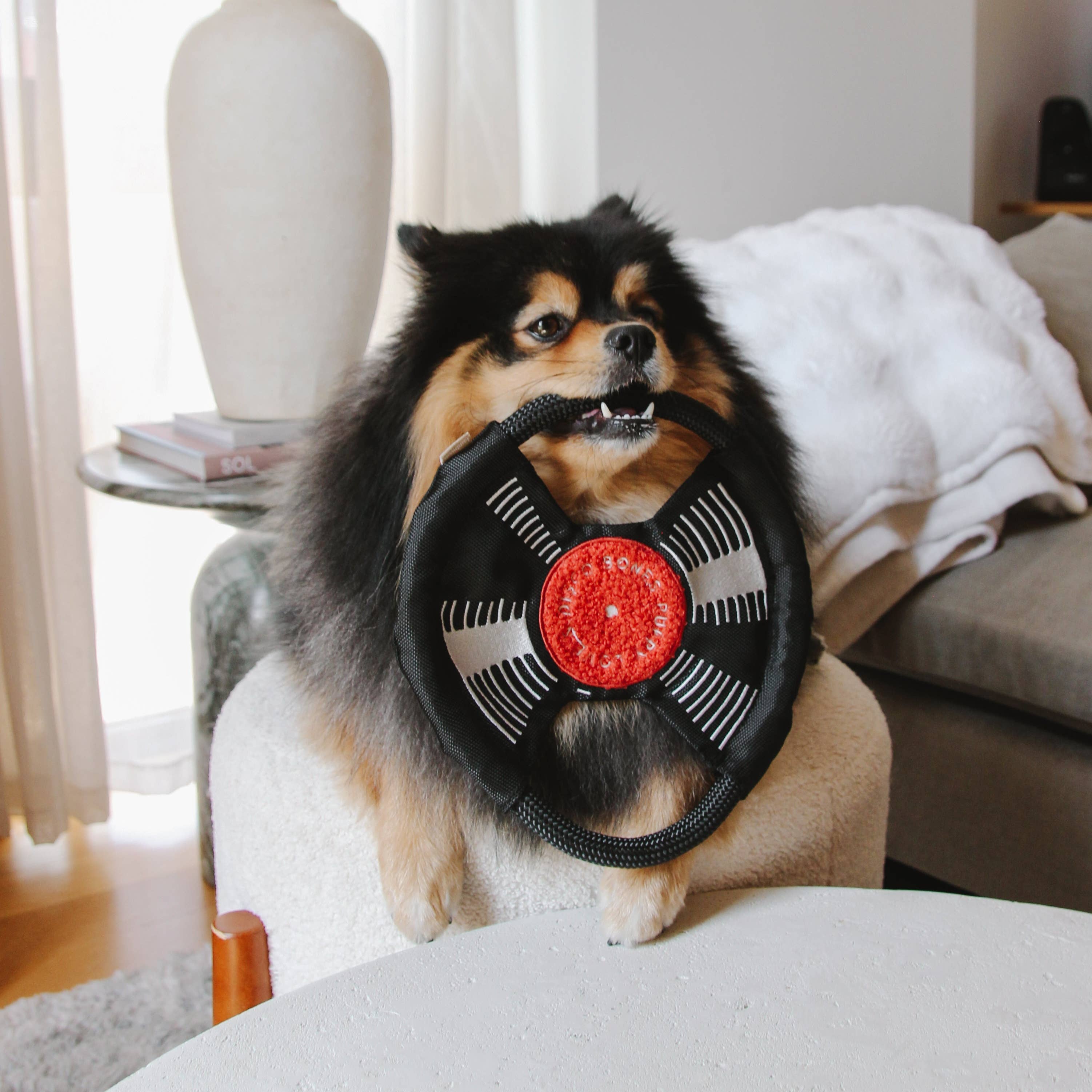 Bark to Beat Beschäftigungsspielzeug