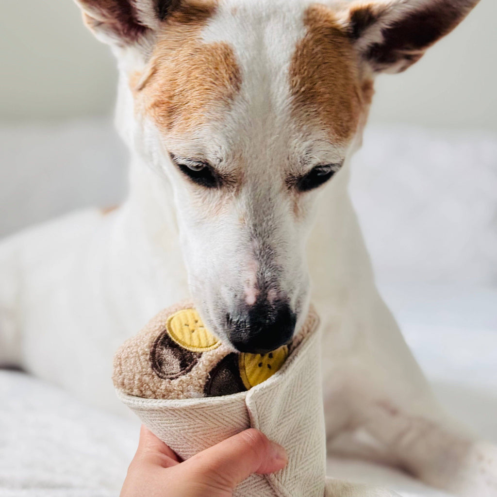 Crêpe Schnüffelspielzeug