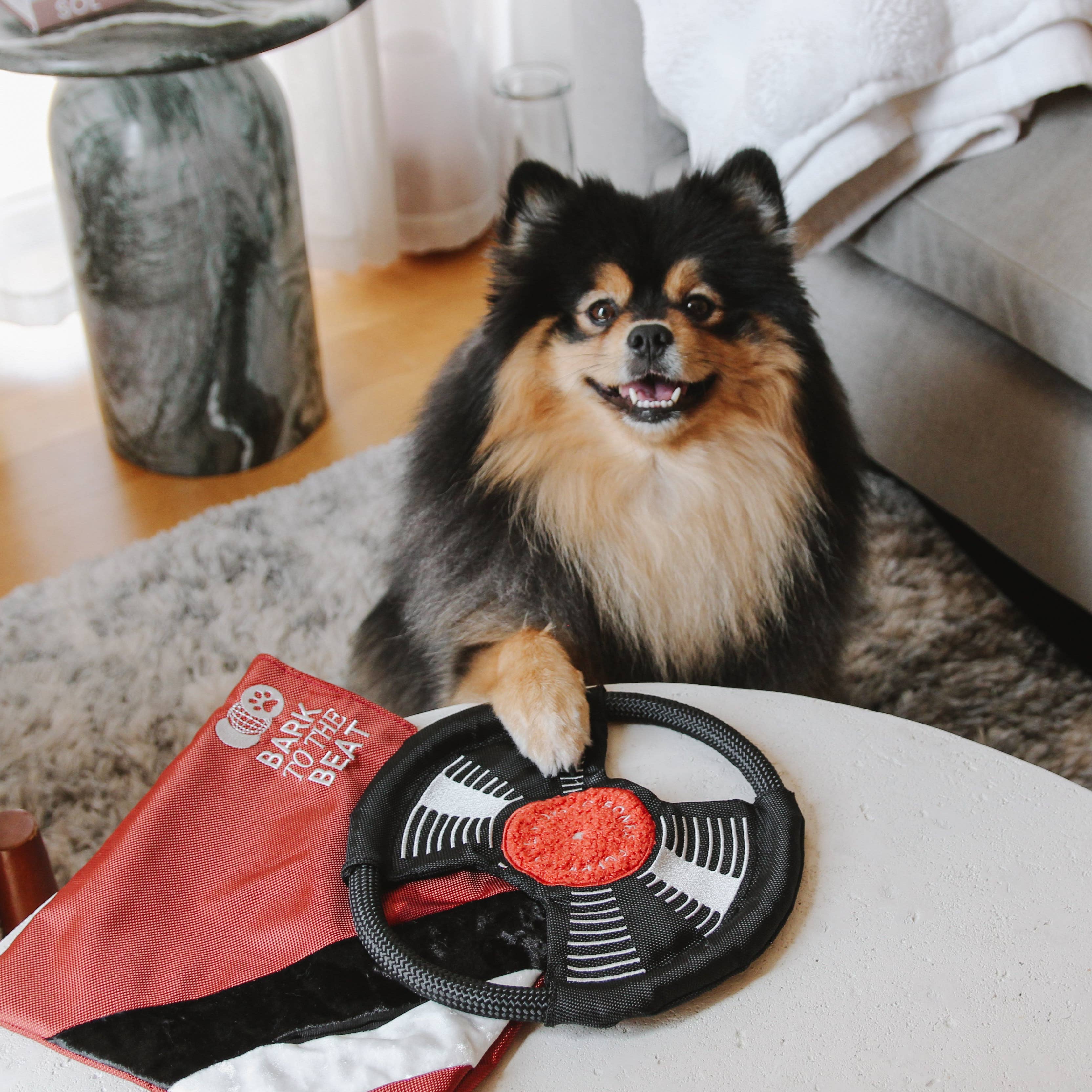 Bark to Beat Beschäftigungsspielzeug