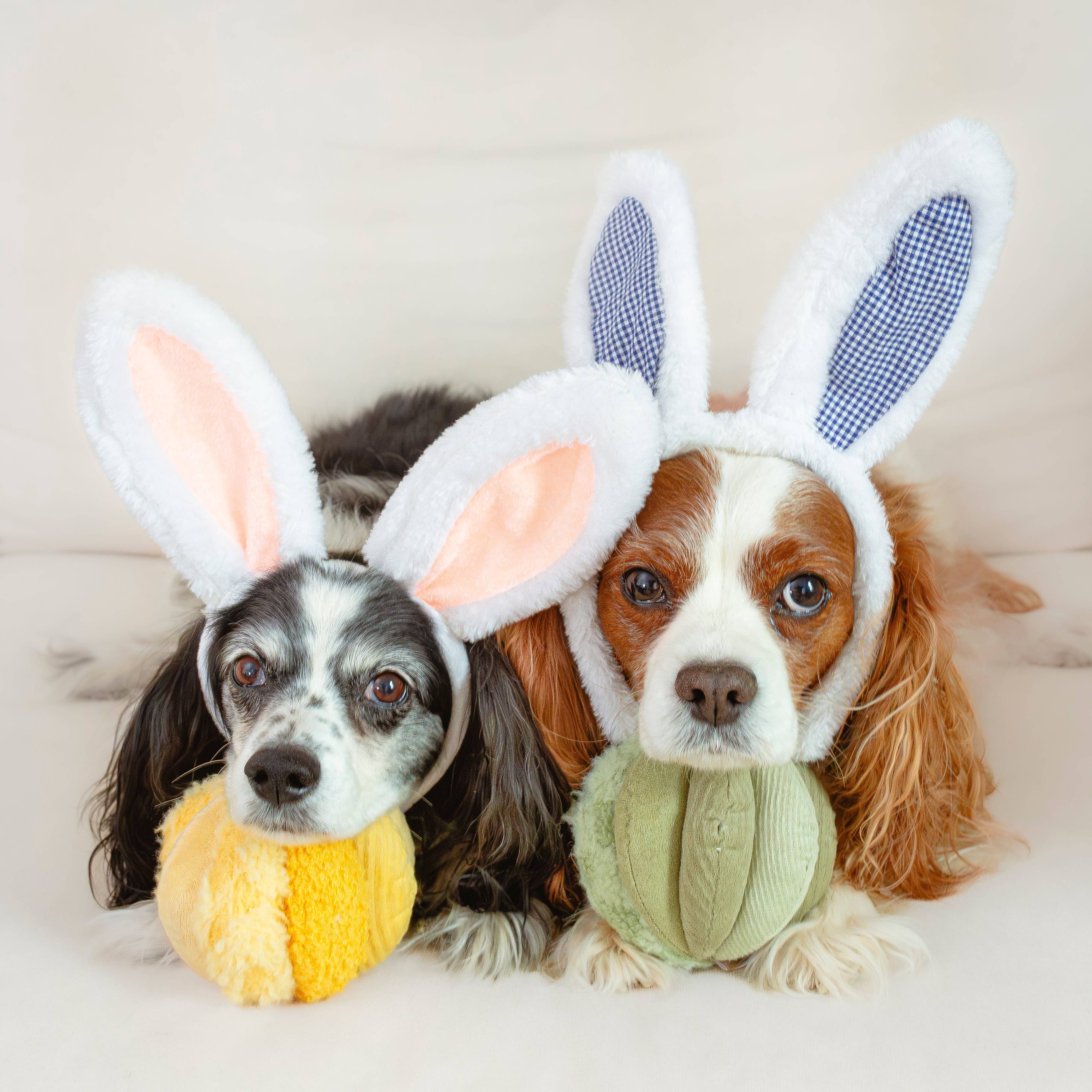 Toto Schnüffelspielzeug Gelb