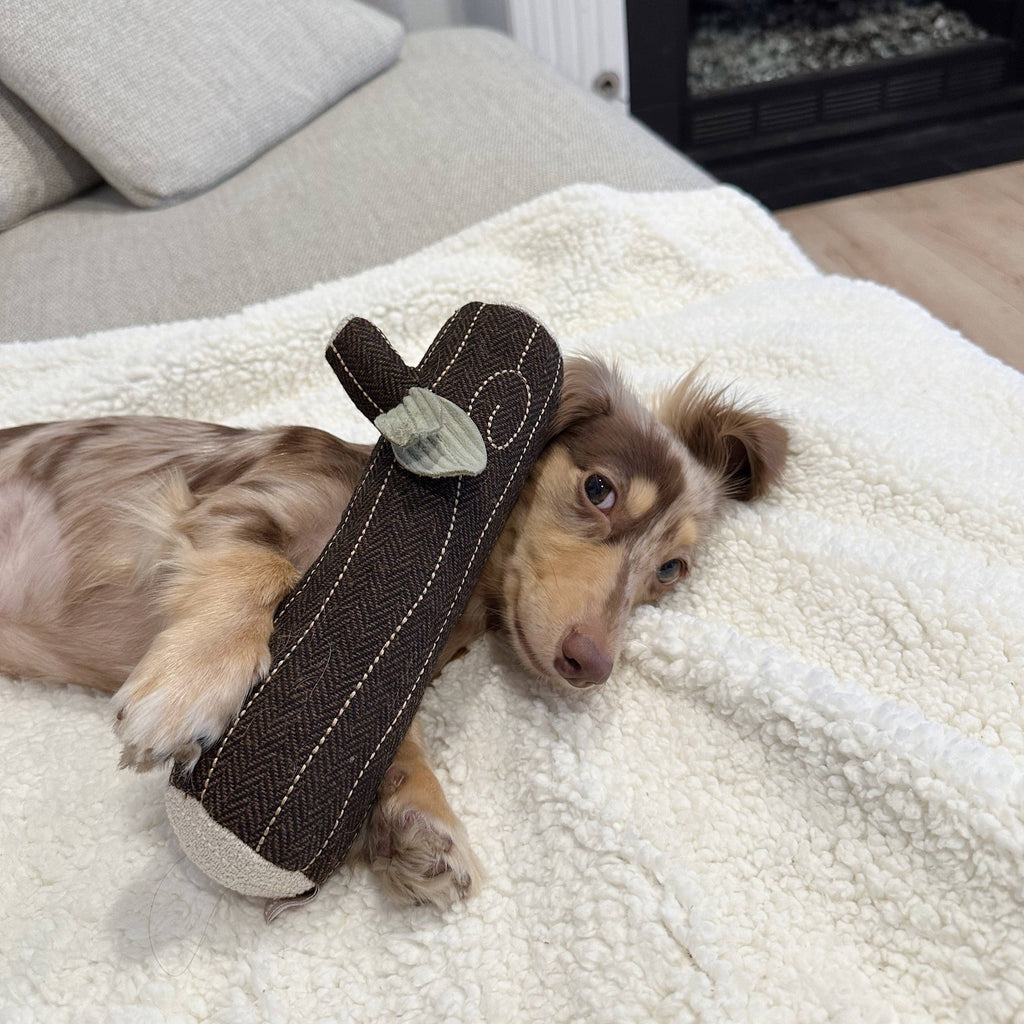 Feuerstock Apportier- & Quietschspielzeug