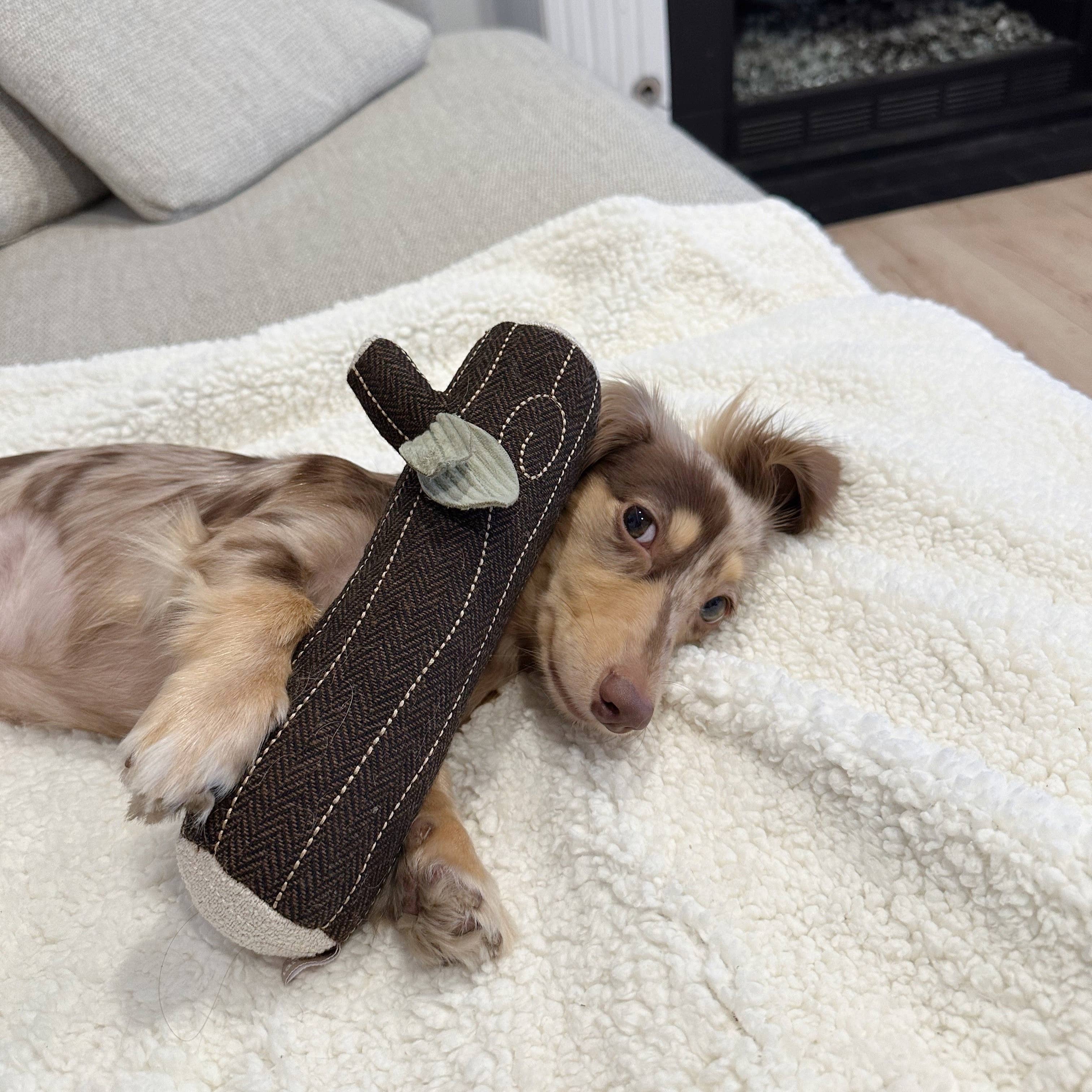 Feuerstock Apportier- & Quietschspielzeug