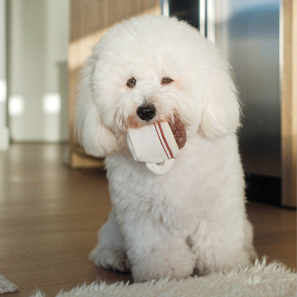 Expresso pop Schnüffelspielzeug