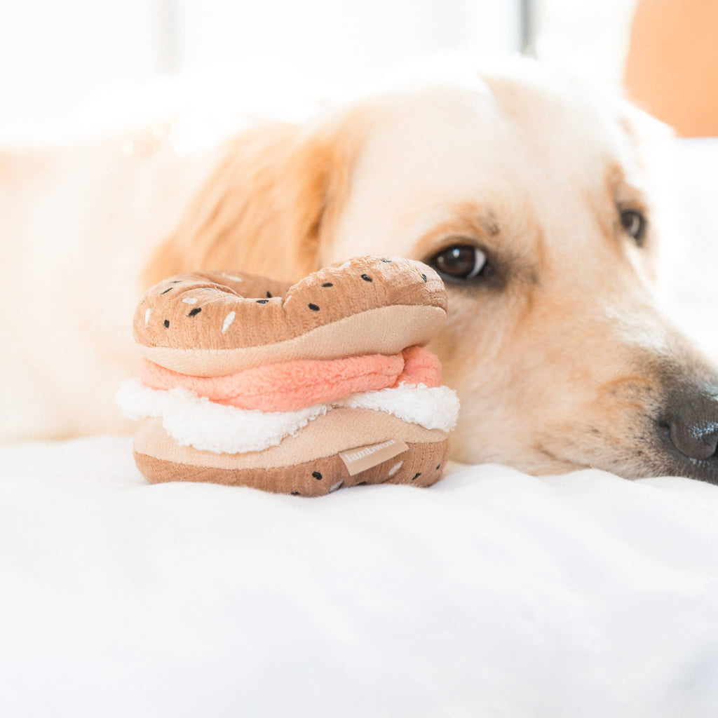 Bagel + Gurke Schnüffelspielzeug