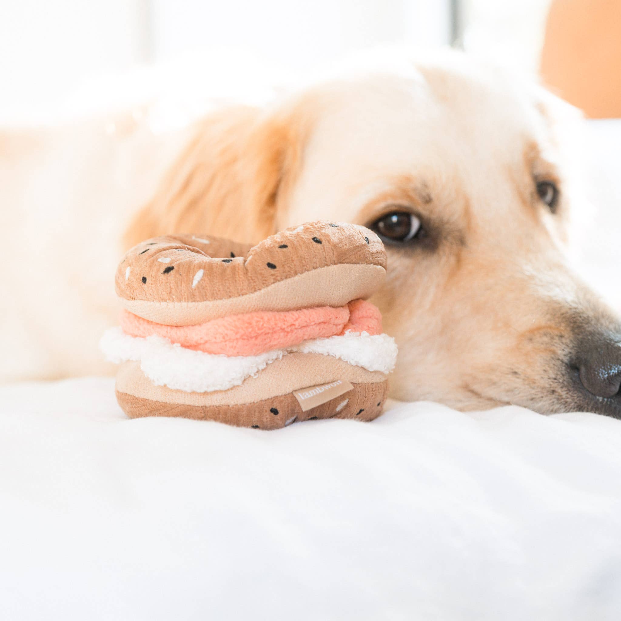 Bagel + Gurke Schnüffelspielzeug
